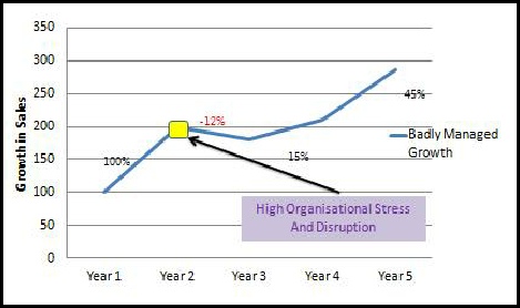 The High Growth Problem - Managing High Growth